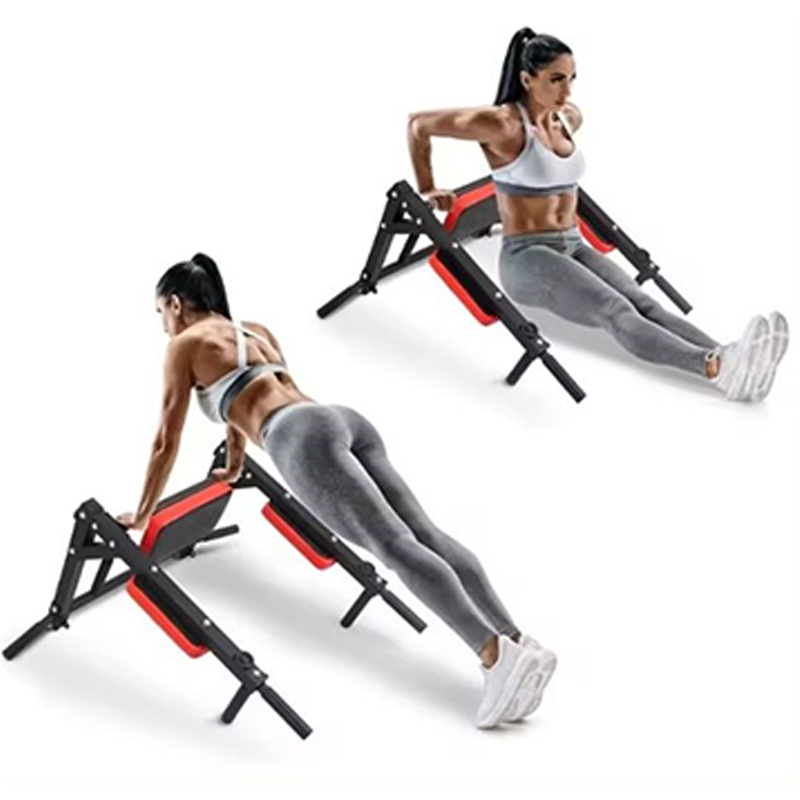 頑丈な壁掛け式平行棒と懸垂バー、屋内ホームジムでの筋力トレー - Home Gym Leg のレビューと価格